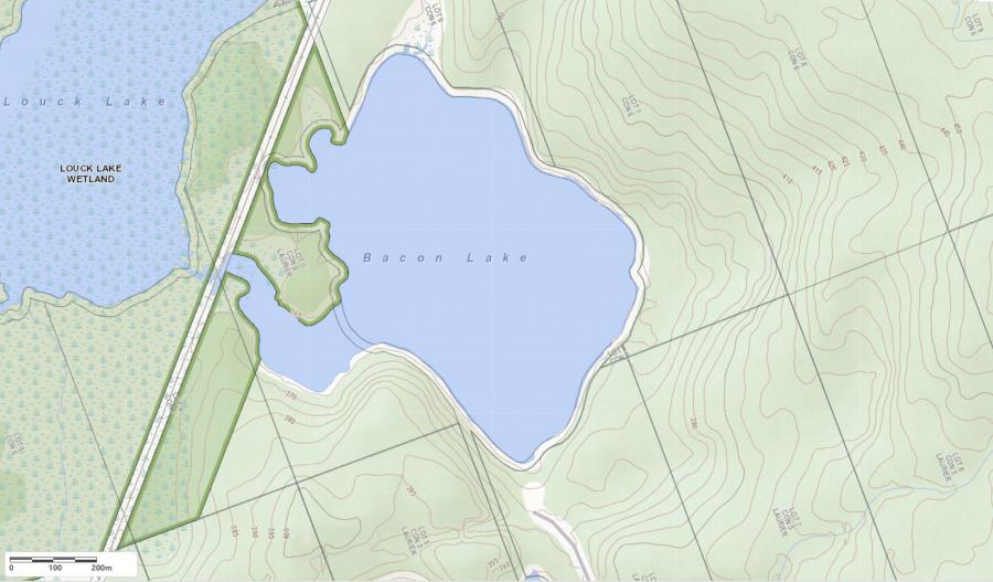 Topographical Map of Bacon Lake in Municipality of Unorganized and the District of  Parry Sound